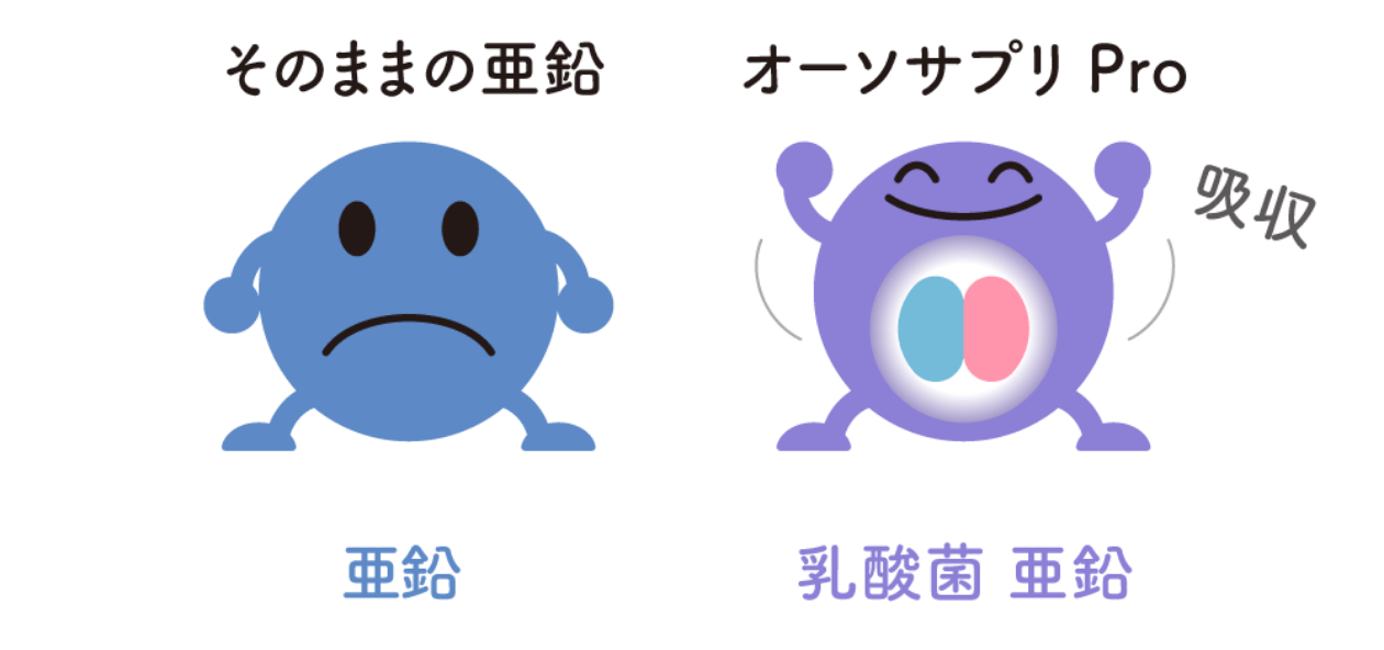 吸収がよく、胃腸にもやさしい「乳酸菌 亜鉛」