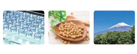 研究しているイメージ